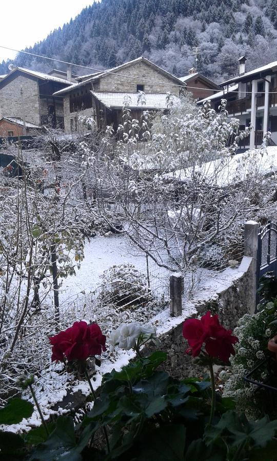 Profum Di Bosc Bed & Breakfast Arta Terme Eksteriør bilde